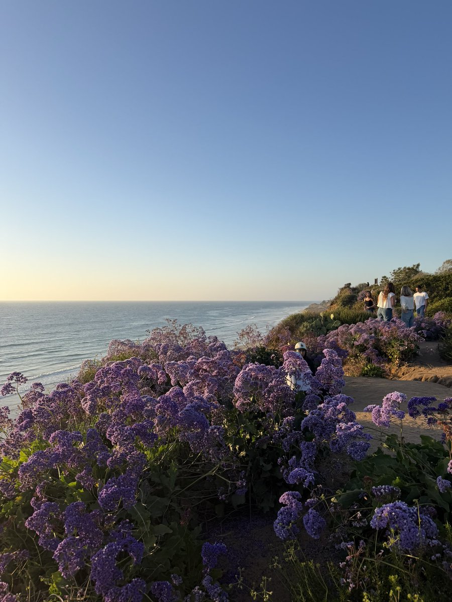 Milo Smith tweet media