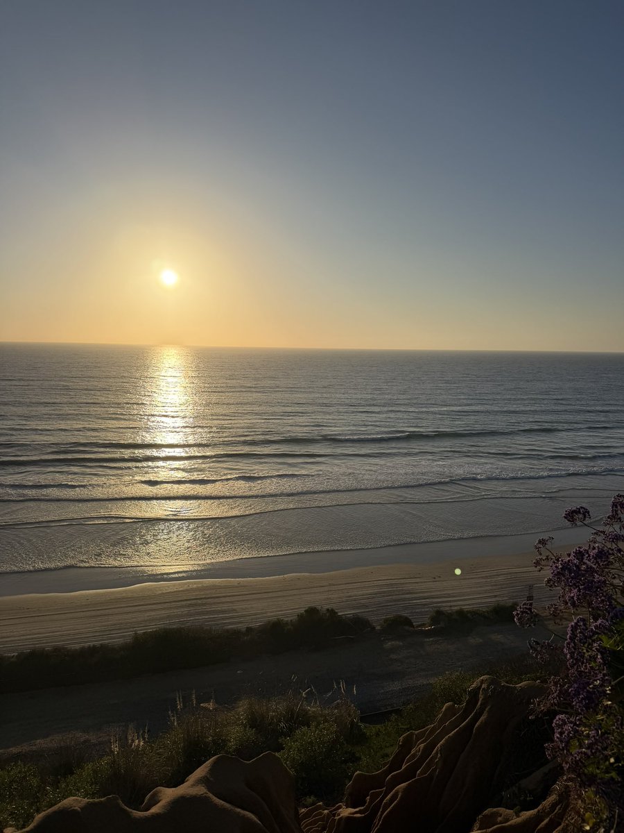 Milo Smith tweet media