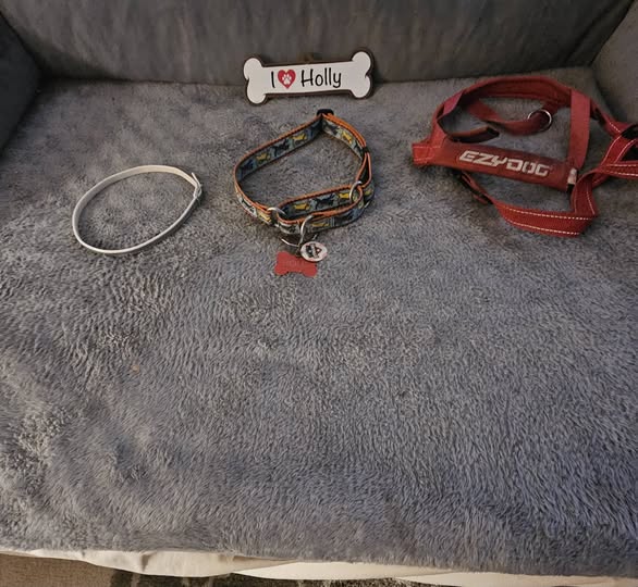 Wes Henderson tweet media