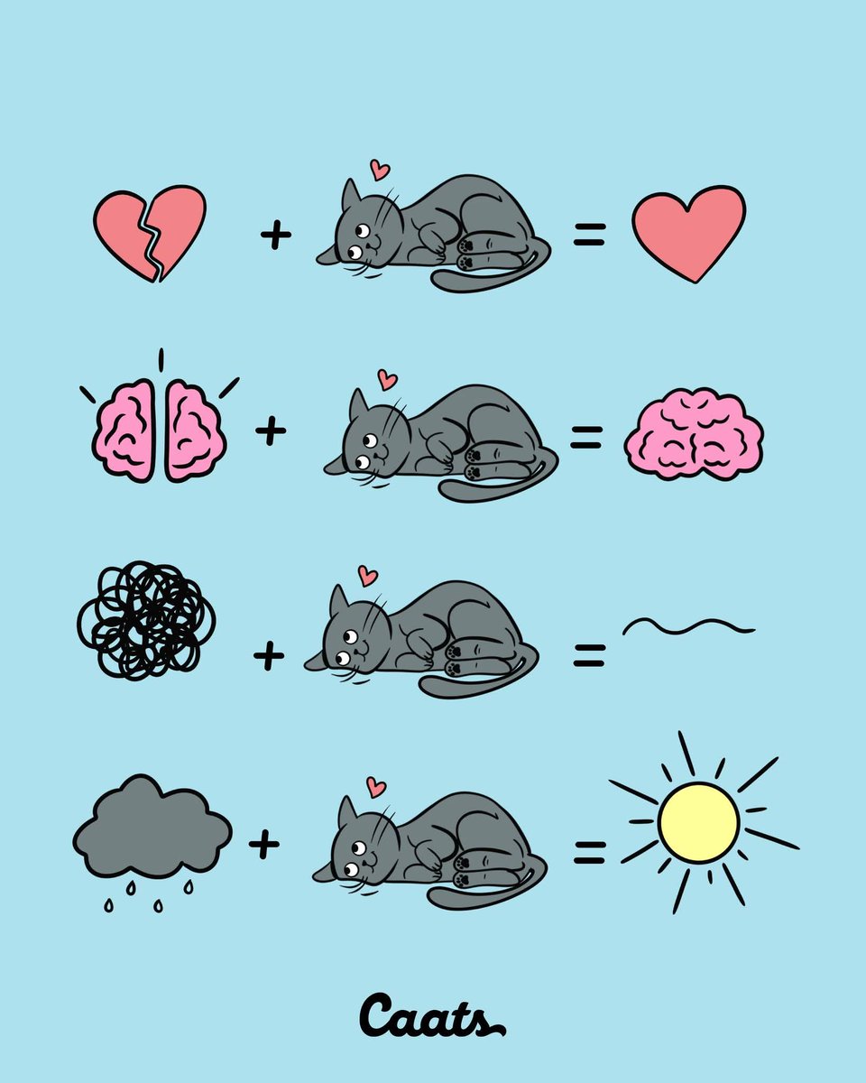 Catherine34 tweet media