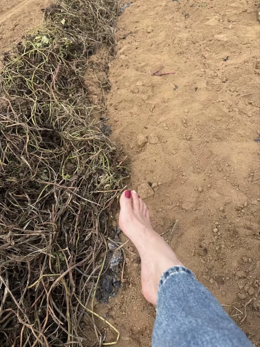 广州YB tweet media