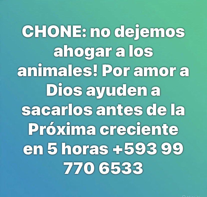 FressiaVillacreses tweet media