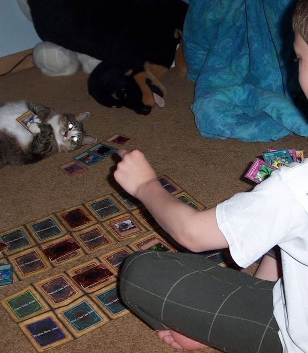 遊戯王が好きなホムラ@ワールドコイン tweet media