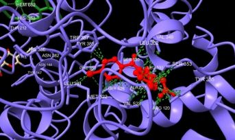 Creativepeptide's tweet photo. Protein glycosylation shapes #protein stability, folding, and biological interactions. Creative Peptides offers flexible Protein Glycosylation Services to support glycoprotein research and glycoengineering studies.
🔗https://t.co/UdgG4s338j
#Glycobiology #Glycoproteins https://t.co/lBrURGFTG5