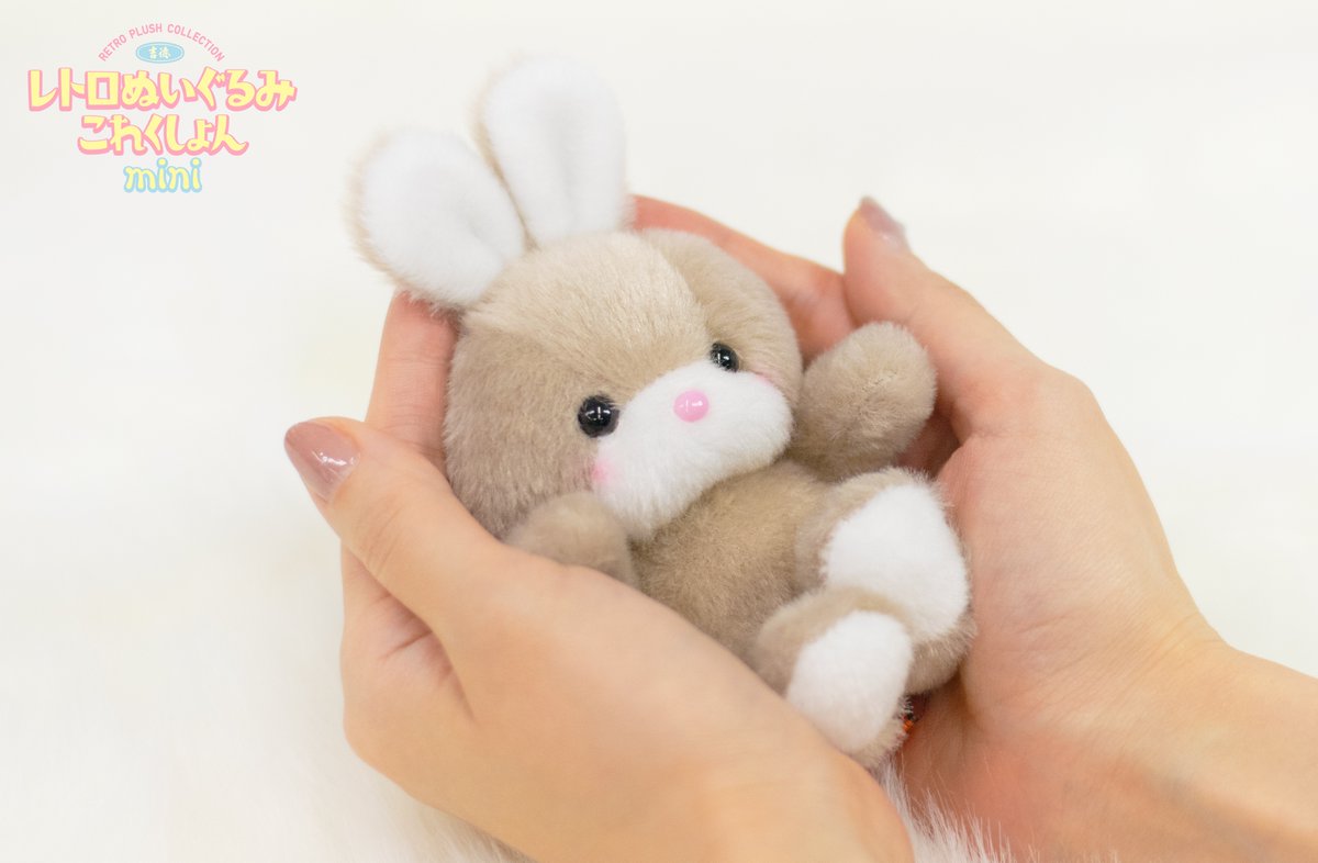 ぬいぐるみたちが「愛されている」姿って本当に本当に可愛くて…！！！🥹💞