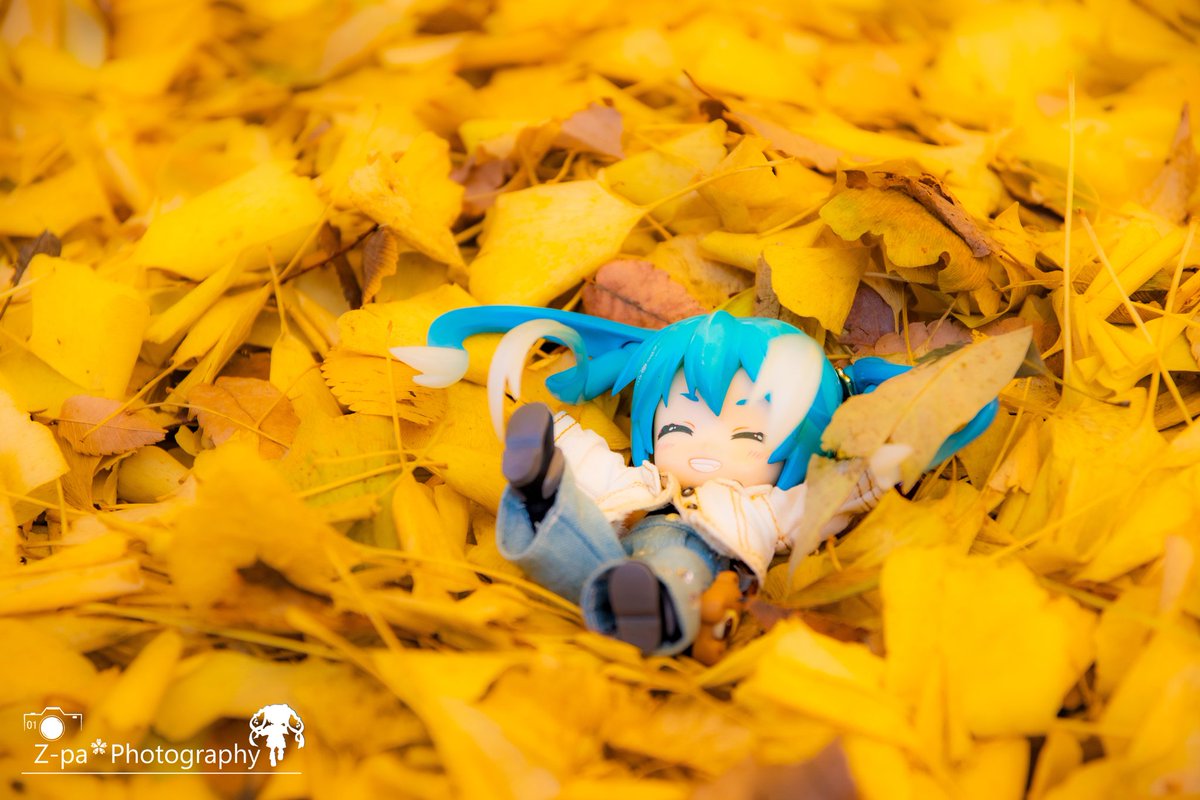 新しい写真なかなか撮る時間ないから専門2年間で撮ったやつのなかでお気に入り4枚