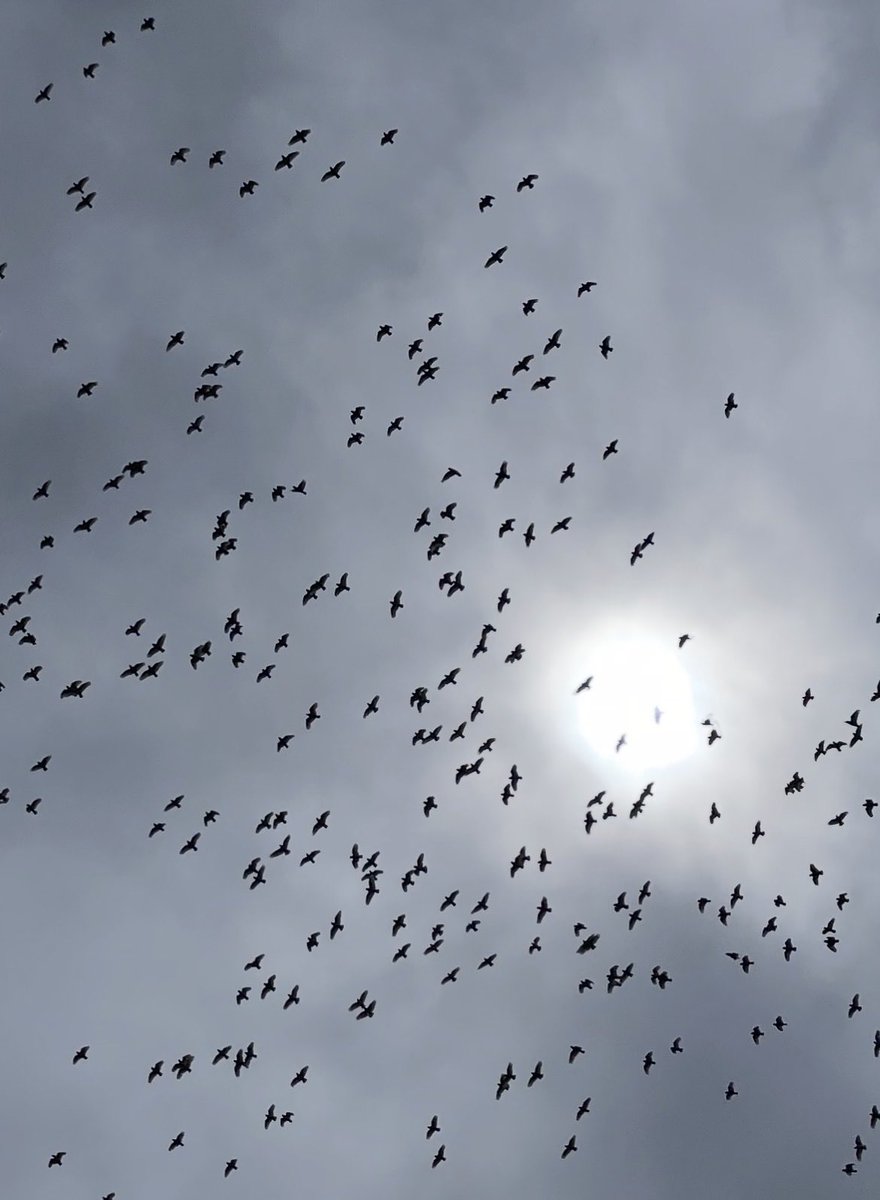 Wazza from Melbourne tweet media