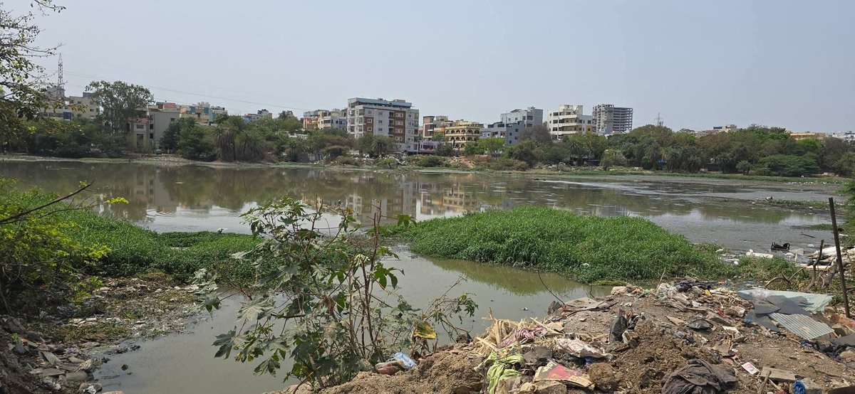 GandhiArekapudi's tweet photo. Inspected the Bheemuni Kunta Lake weir in #Hydernagar Division. Along with former Corporator Narne Srinivasa Rao garu, reviewed the site with officials from GHMC, the Water Board, and the Irrigation Department to oversee maintenance works and progress.
#AskAG #ArekapudiGandhi #PACChairman #Serilingampally