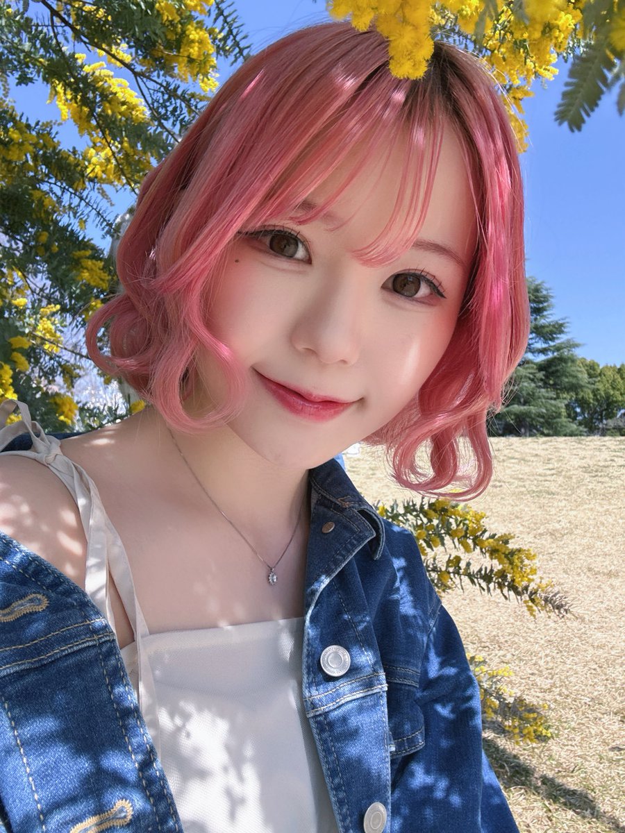 pinkudesu08's tweet photo. 3/29(日)レモンスタジオ
with FFG撮影会

桜の木があるらしくて桜が咲いてるかも！
外でも撮れちゃう📸🌸

予約受付開始は、12日(木)17:00〜 です！
よろしくお願いいたします✨️
https://t.co/IKt62NQHWT https://t.co/Z7dbL6TbKs
