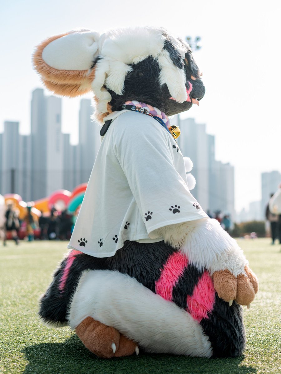 #FursuitEveryday #fursuit 
📷<a href="/DonDon_Fur/">돈돈 / DonDon</a> 

헥헥 힘들어
