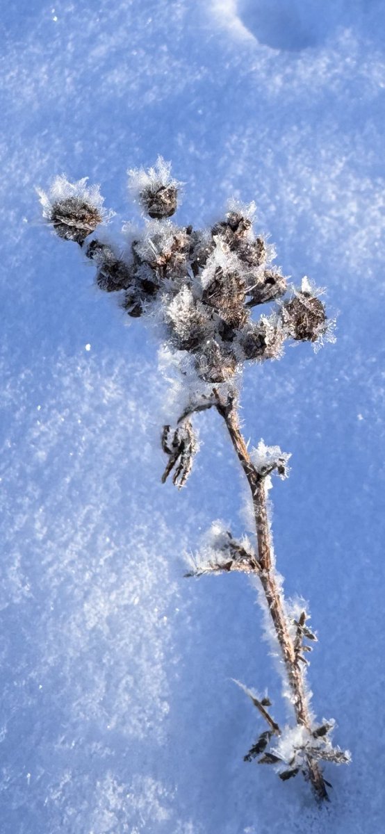 Sunset Country tweet media