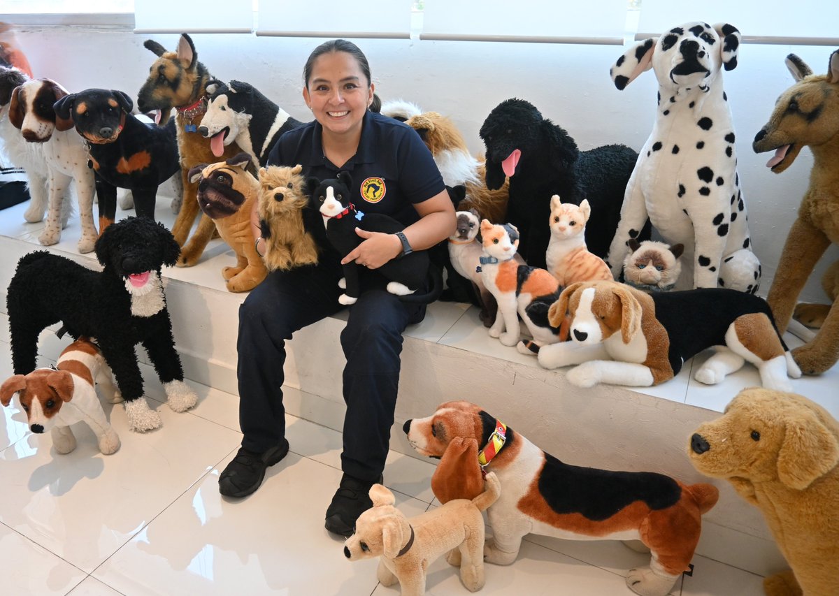 Pet First Aid CECAD Emergencias tweet media