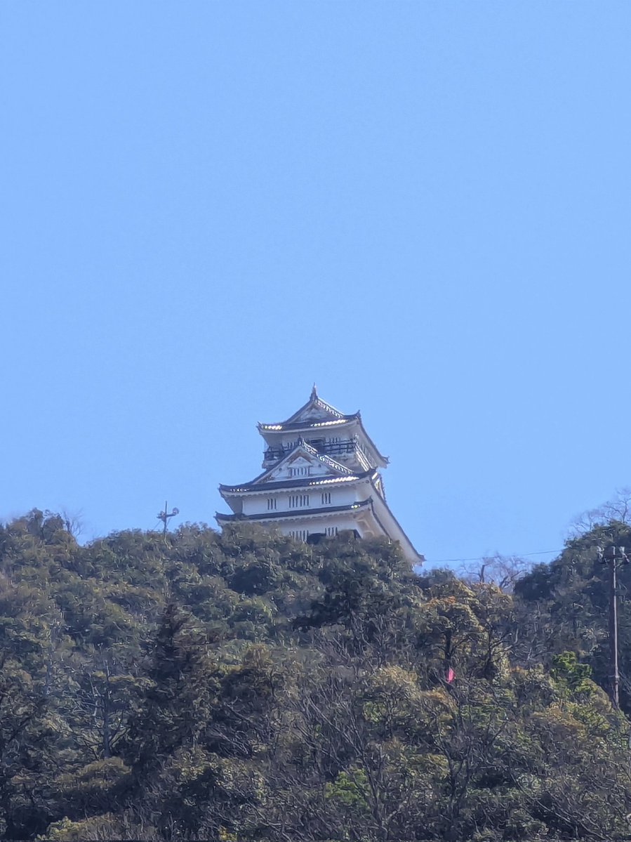 𝗠𝗥𝗢 エムロ / MOFZ tweet media