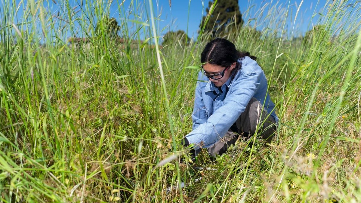 Berkeley Rausser College of Natural Resources tweet media