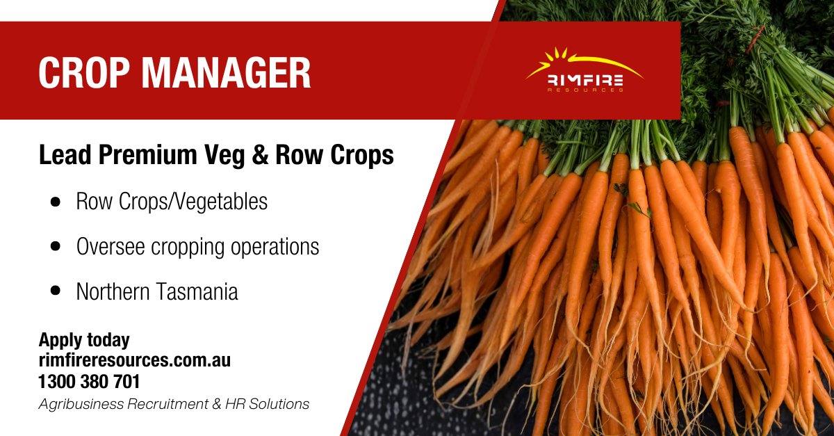 Rimfire Resources tweet media