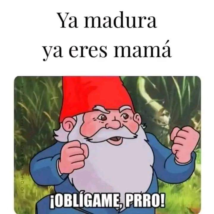 lapatitosamayoa's tweet photo. 🤣🤣🤣🤣 https://t.co/Zos8lfbv4C