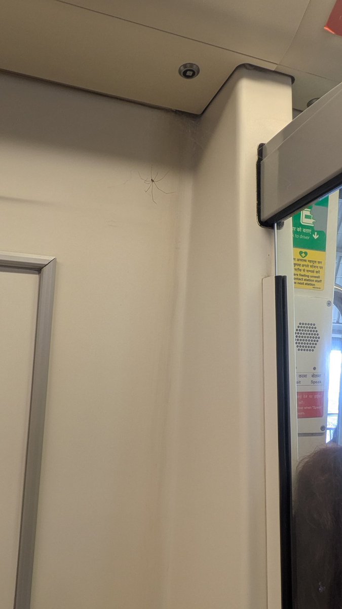 Priyanka031216's tweet photo. Spiderwebs were seen on the blue line route of Delhi metro @OfficialDMRC should take effective action to maintain proper cleanliness and maintenance in the metro. https://t.co/tJ9PC7nwlh