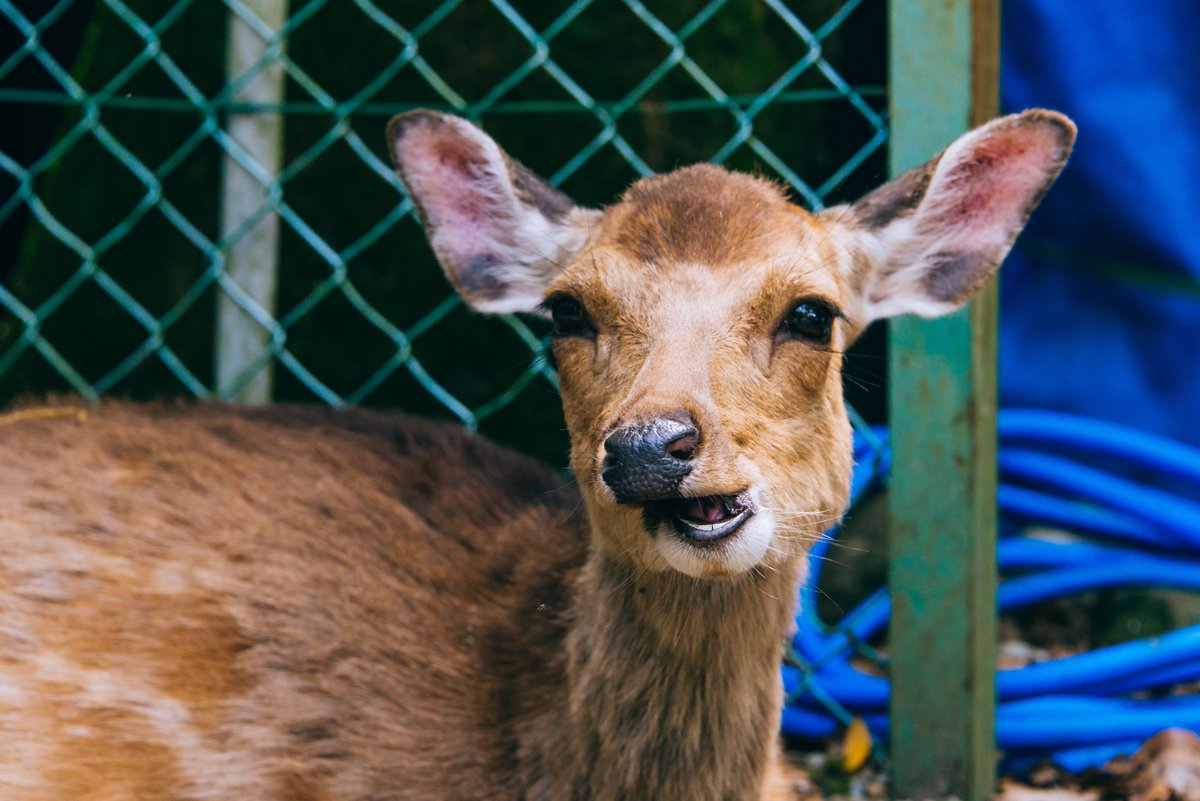 確定申告完！！！！