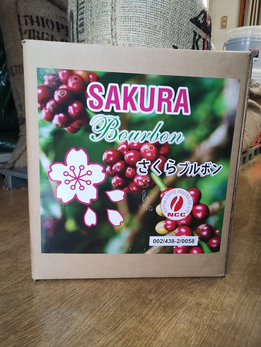 coffeehirashima's tweet photo. 新商品ブラジルさくらブルボン販売開始しました。
この時期だけの商品です。
お早めに

#自家焙煎珈琲　#スペシャルティコーヒー　#ブラジルコーヒー　#さくらブルボン　#名古屋市天白区　#塩釜口 https://t.co/YBoVBOX24t