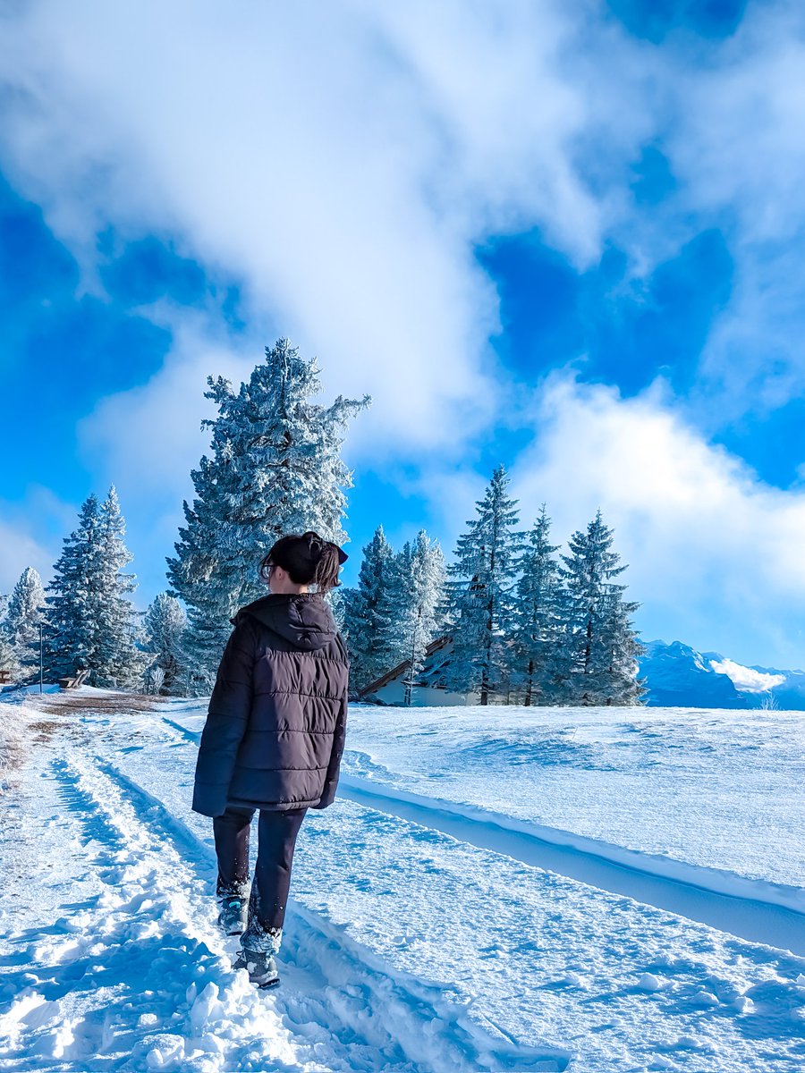 L's visual diary tweet media