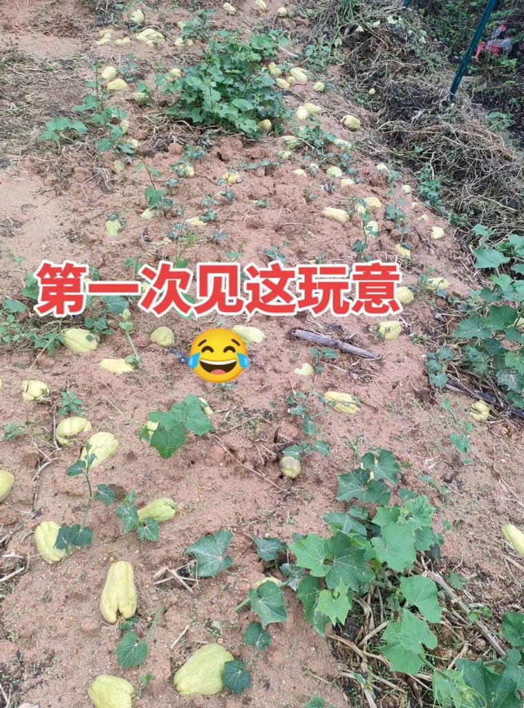 清风btc🔶BNB tweet media