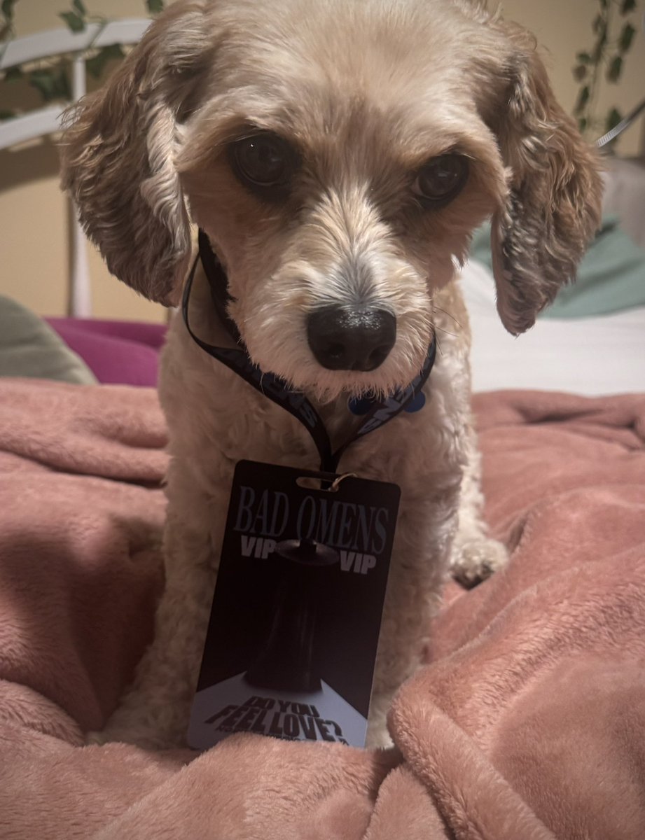 𝖓𝖆𝖙 👻 ᛐᛗᛚ tweet media