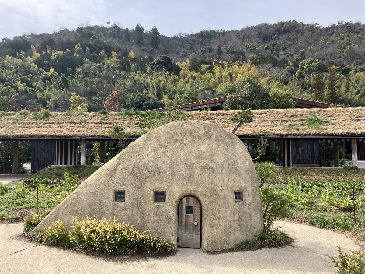 Hasu no hana tweet media