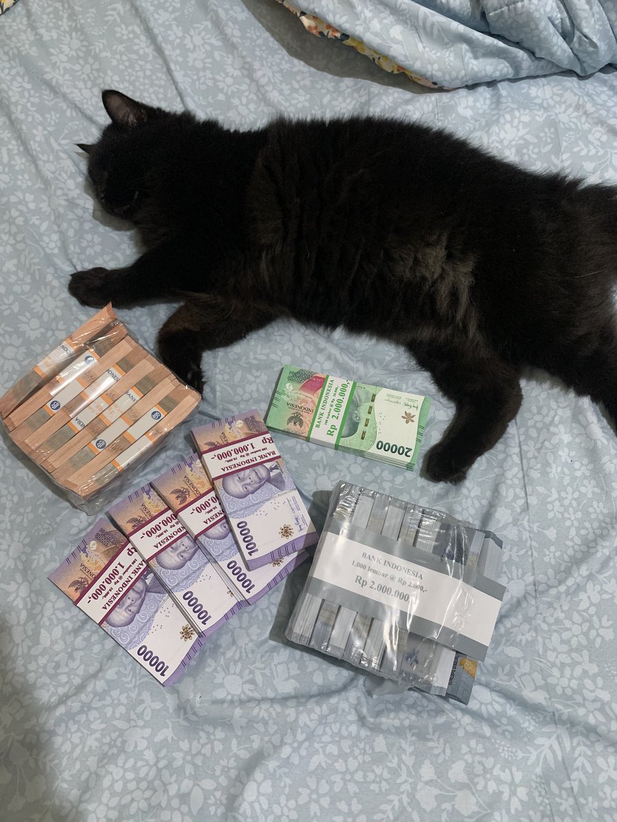 Kupet.. kuching ngepettt