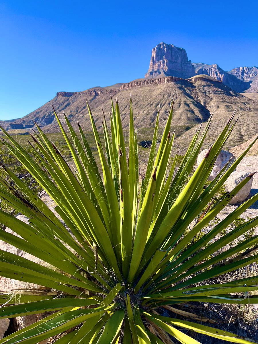 Avenly13's tweet photo. El Capitan, Guadalupe Mountains, Texas https://t.co/7vMdrPWn32