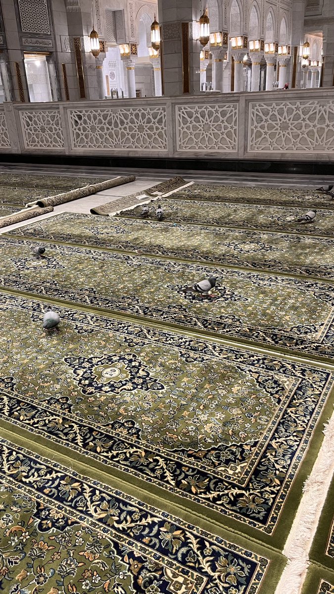 zipx_n's tweet photo. اللَّهُمَّ إِنَّكَ عَفُوٌّ تُحِبُّ العَفْوَ فَاعْفُ عَنَّا

#ليله_٢٣ #٢٠رمضان #الحرم #مكه_كلها_حرم https://t.co/NA3Cg9NZ1D