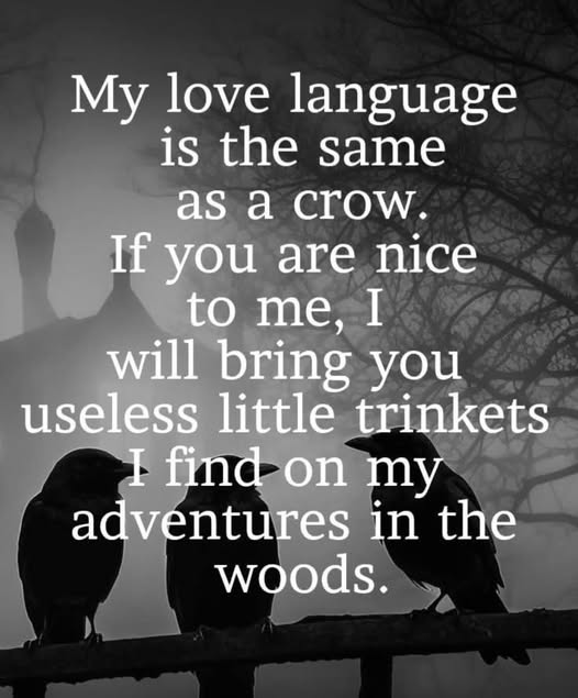 Yup!🤷‍♀️🤣🤣🤣🤣🤣🤣🤣🤣🤣🤣🤣🤣🤣🤣🤣