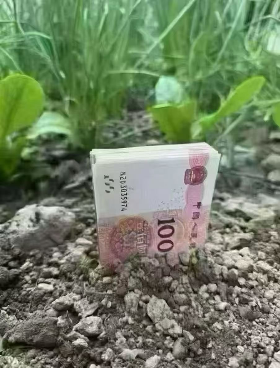 3.12    植树节
愿种下的所有美好都生根发芽。