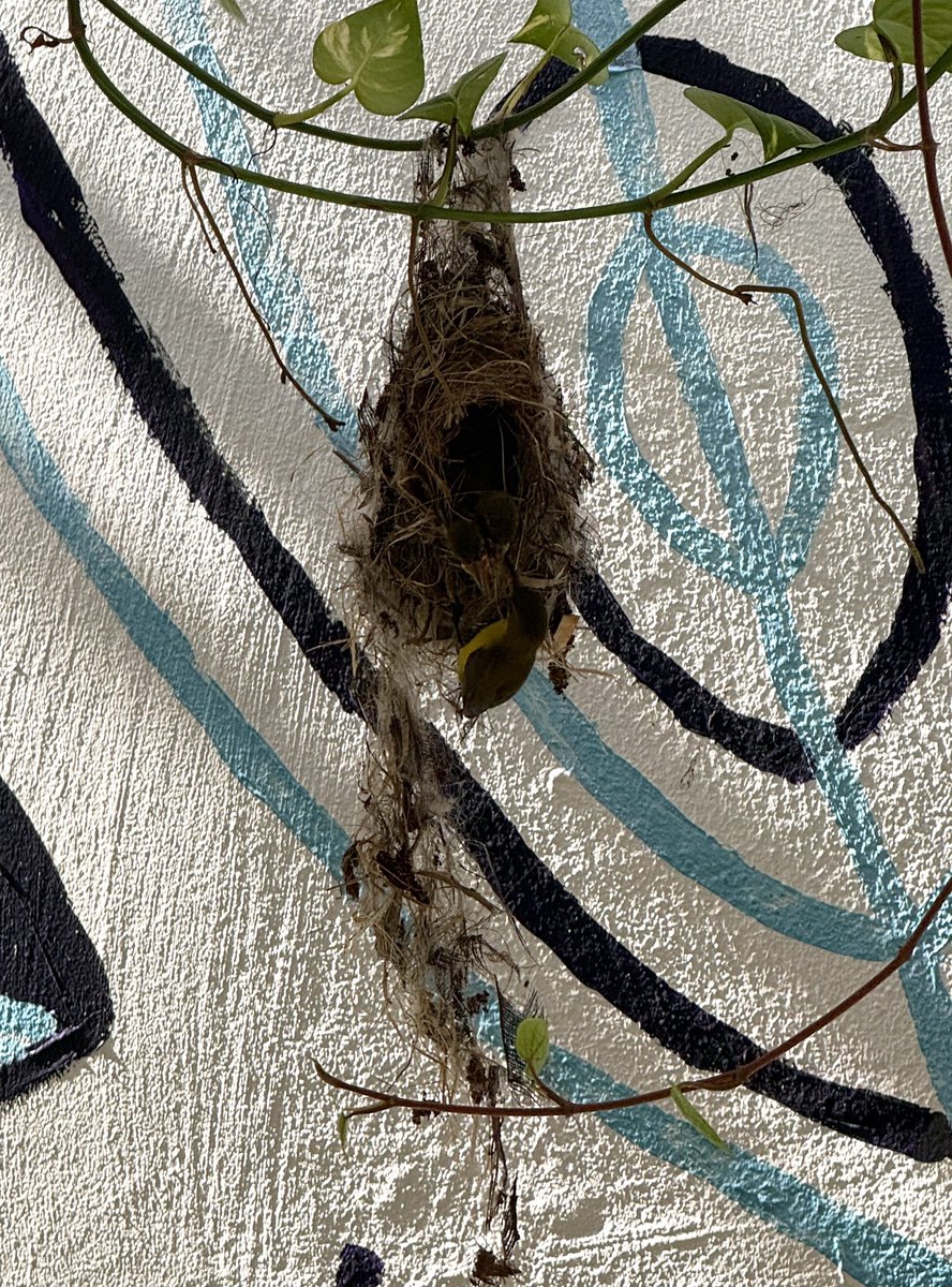 Parminder Singh tweet media