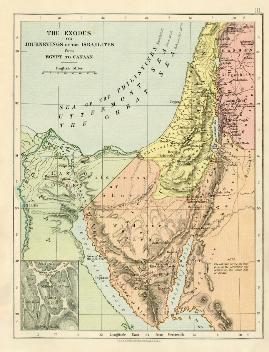 سليل الأزد | ماجد الزهراني 🇸🇦 tweet media