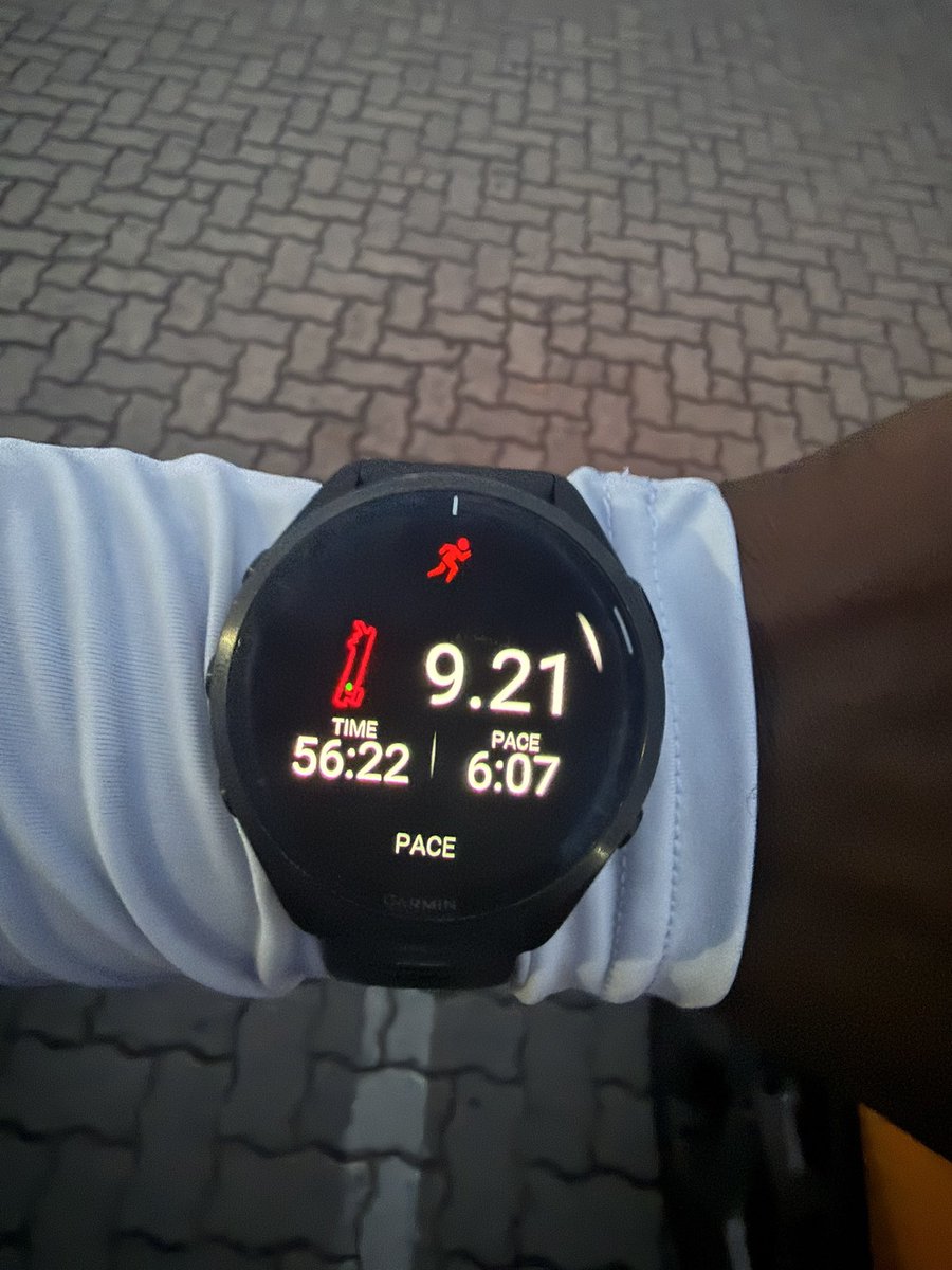 Rendani Mamphiswana, PhD tweet media