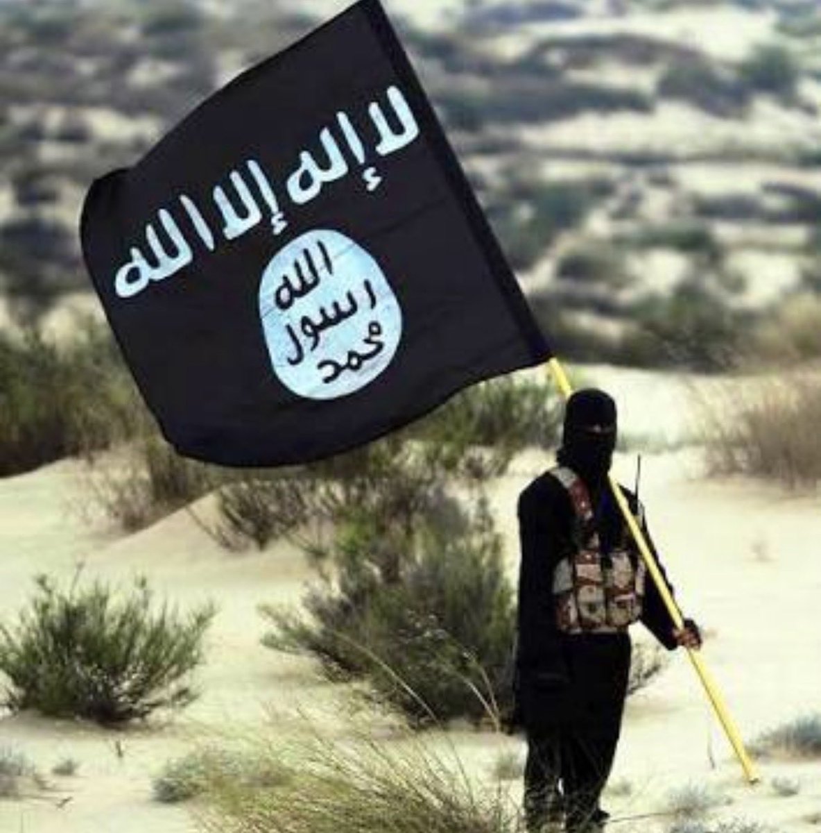 Pauvres nations arabes, toujours les dindes 🦃 du couple sionisto-yankee 🇮🇱 

RUPTURE

Les documents Epstein confirment que l'EI et Al-Qaïda sont soutenus par Israël et les États-Unis pour créer une instabilité régionale au Moyen-Orient afin de s'emparer de ressources pétrolières