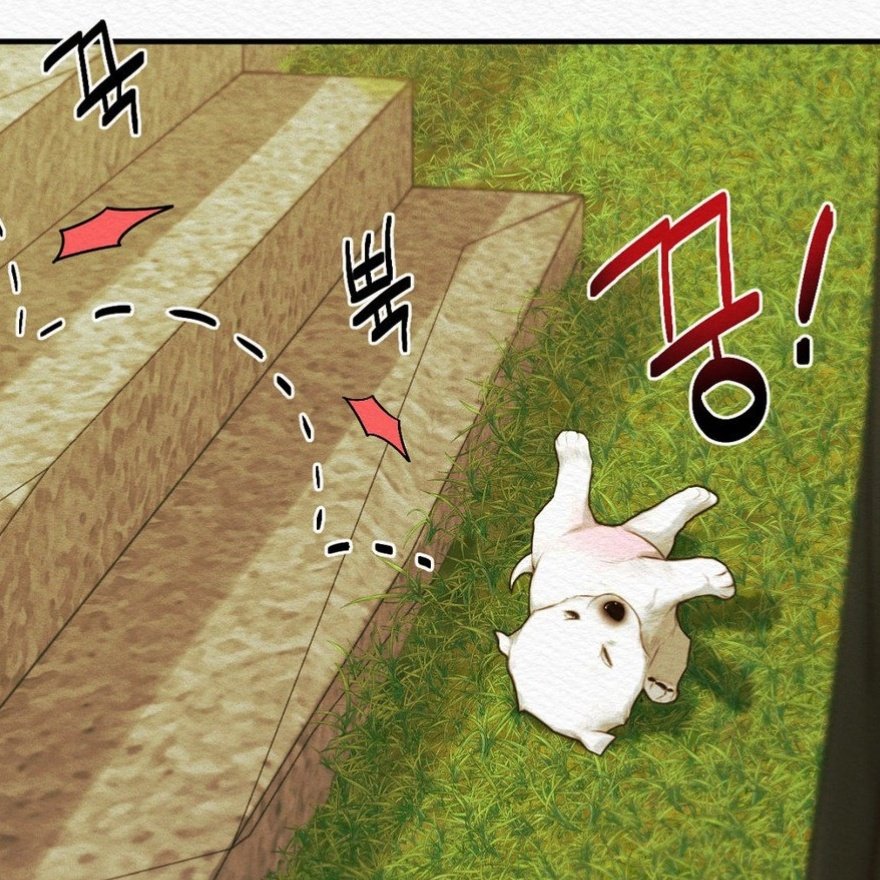 우리 금동이가 빠졌네요 🐾🤍