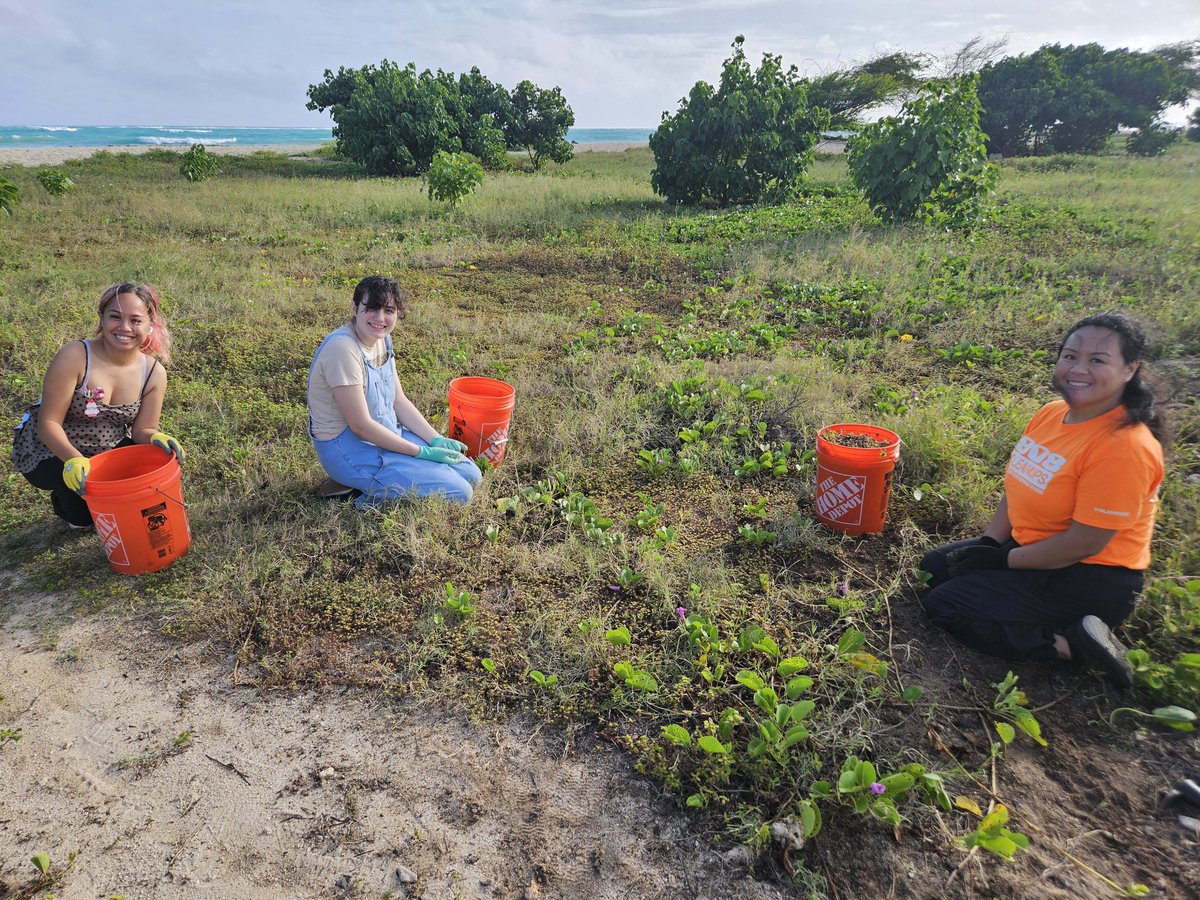 808cleanups tweet media