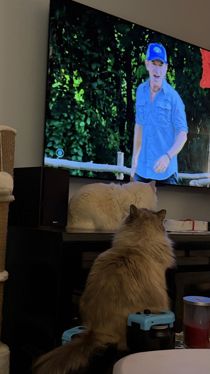 Suetheshoe's tweet photo. Everyone watches @survivorcbs in our house #survıvor2026 #survivor50 https://t.co/5FSRTFo5DX