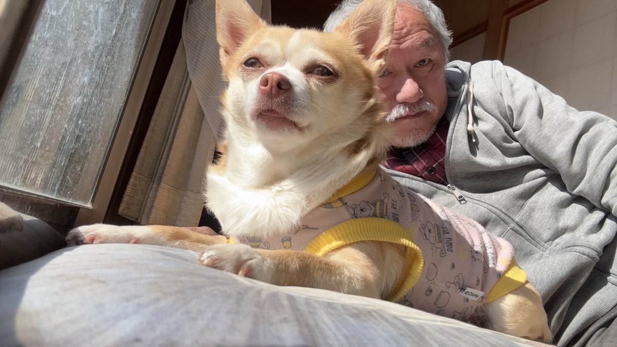 SHADOW'sえんちゃん tweet media