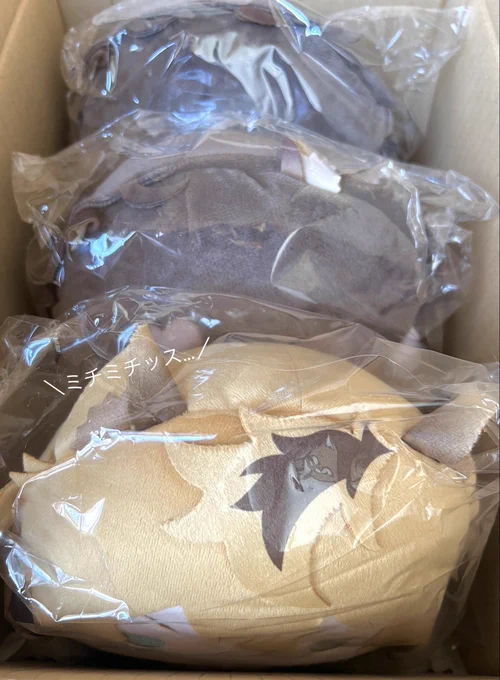ふわコロ届いた!!!!