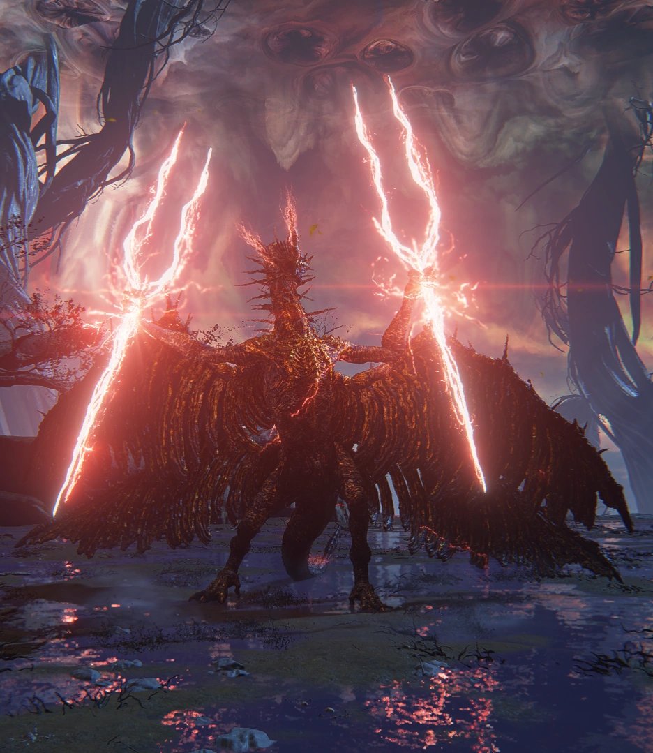 753.network tweet media