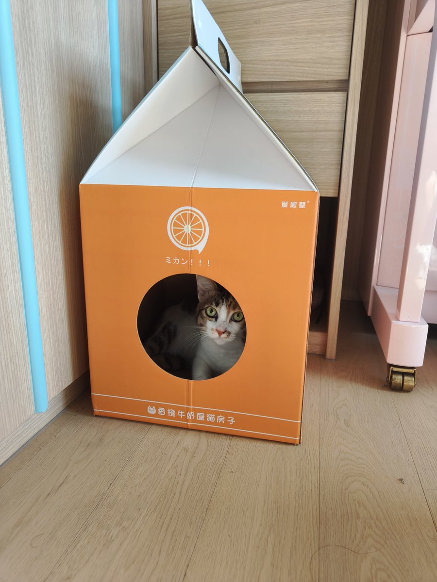 💖 Ray 💖 tweet media