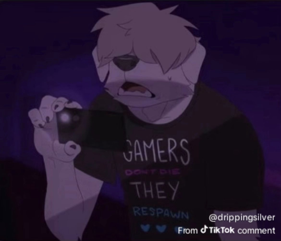 fudanshiiit tweet media