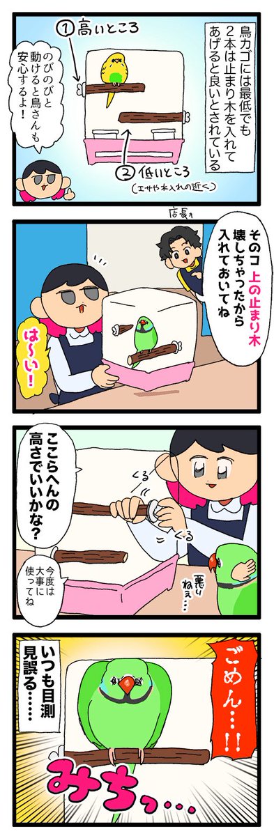 よく鳥さんの止まり木を付ける位置を見誤ってごめん…………になる🦜

2269  #えるポピの絵日記かくところ 