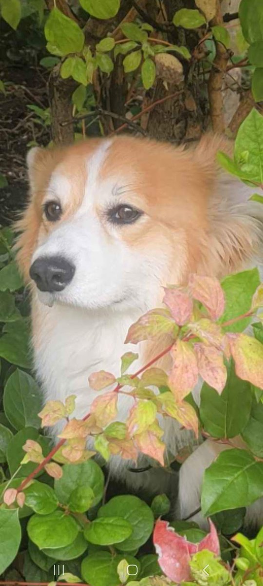 Captain Convenience tweet media