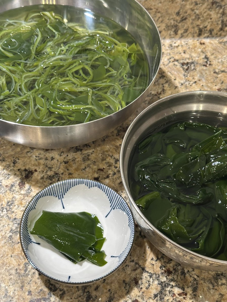 sometimes u have to eat like a sea turtle