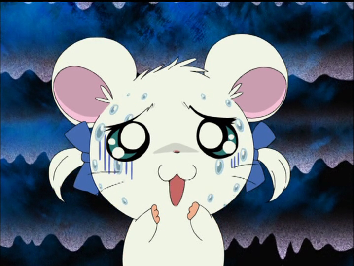 Hamtaro・ハム太郎・Unofficial・25th Anniversary (@nise_hamtaro) on Twitter photo 