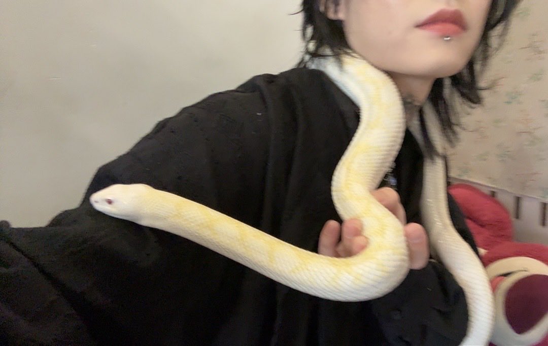 Greedy70980961's tweet photo. 牛牛好帅ovo https://t.co/g4EDtu54QT