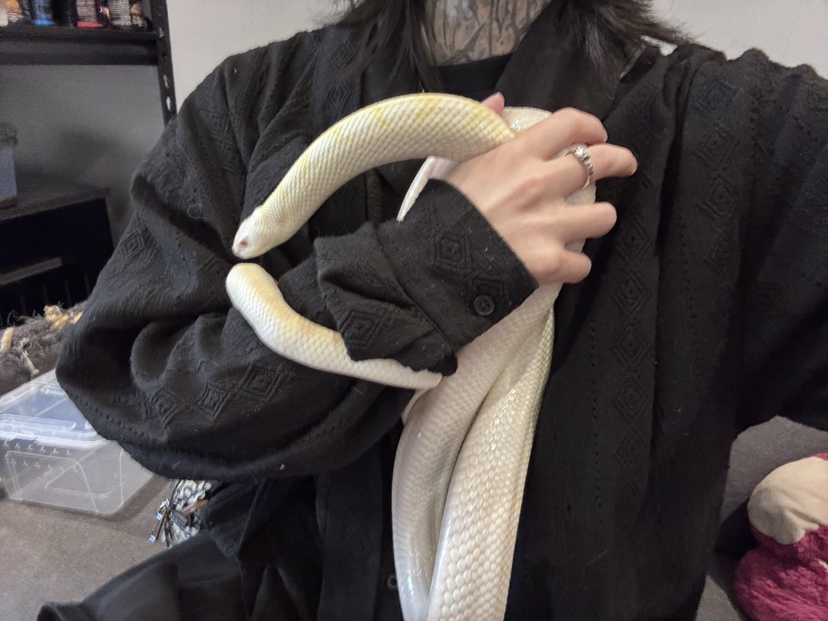 Greedy70980961's tweet photo. 牛牛好帅ovo https://t.co/g4EDtu54QT